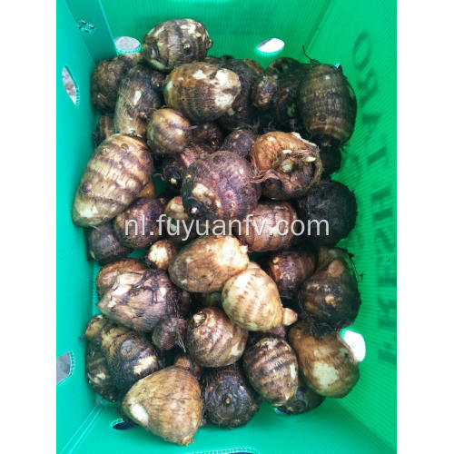 Verse grote taro in plastic doos van 9 kg